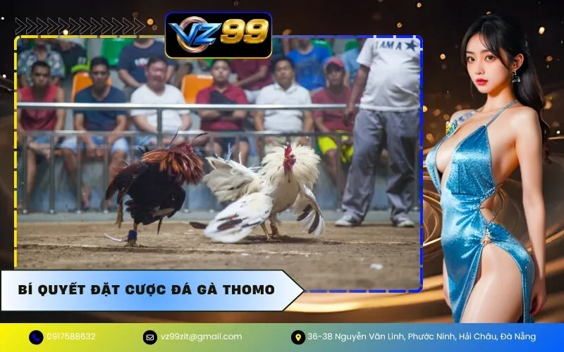Bí Quyết Đặt Cược Đá Gà Thomo