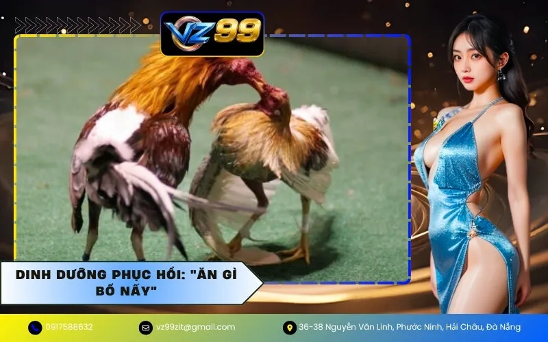 Dinh Dưỡng Phục Hồi: "Ăn Gì Bổ Nấy"