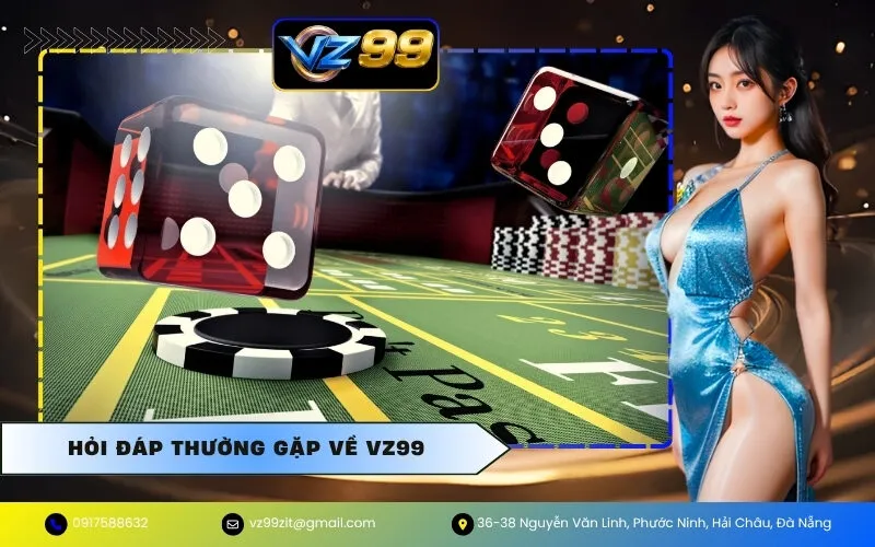 Hỏi Đáp Thường Gặp Về VZ99