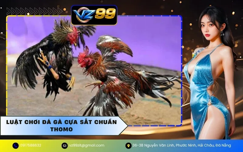 Luật Chơi Đá Gà Cựa Sắt Chuẩn Thomo