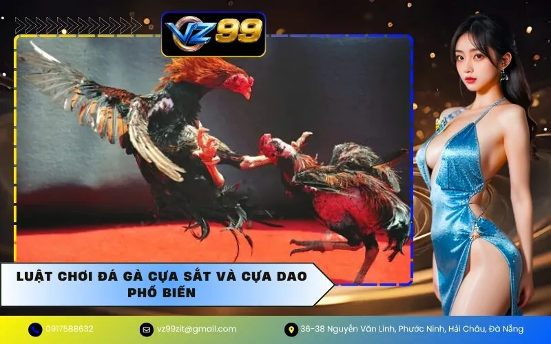 Luật Chơi Đá Gà Cựa Sắt Và Cựa Dao Phổ Biến