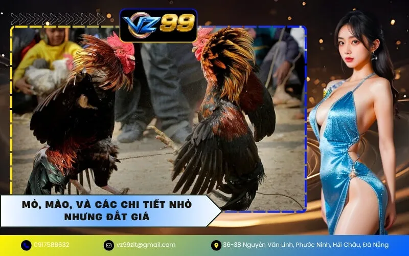 Mỏ, mào, và các chi tiết nhỏ nhưng đắt giá