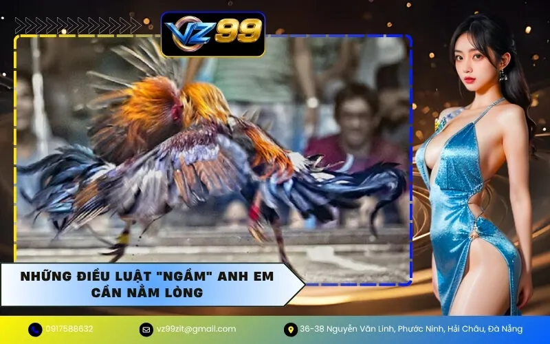 Những Điều Luật "Ngầm" Anh Em Cần Nằm Lòng