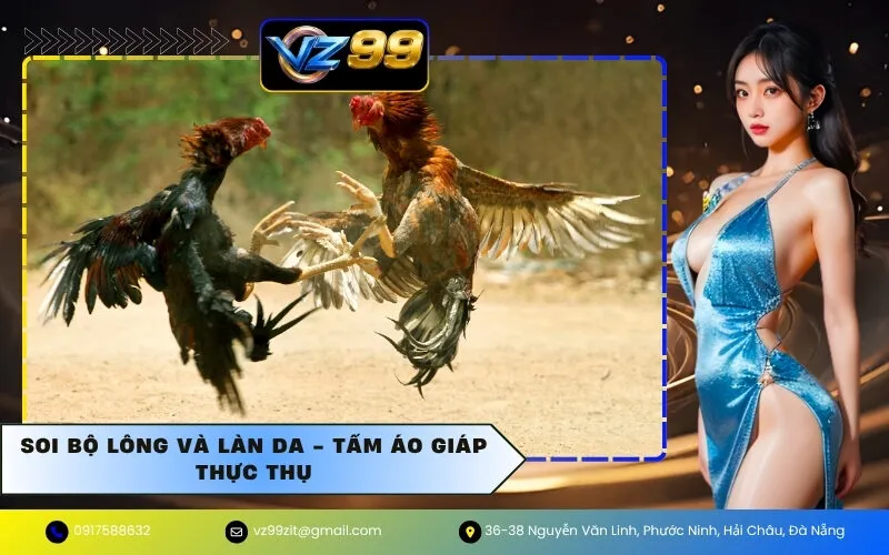Soi bộ lông và làn da - Tấm áo giáp thực thụ