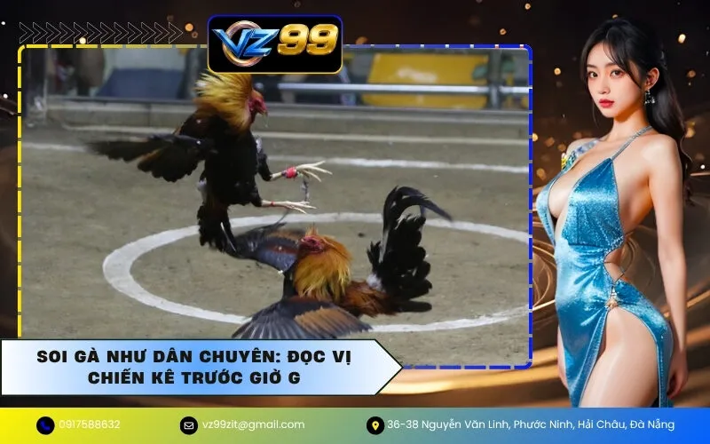 Soi Gà Như Dân Chuyên: Đọc Vị Chiến Kê Trước Giờ G