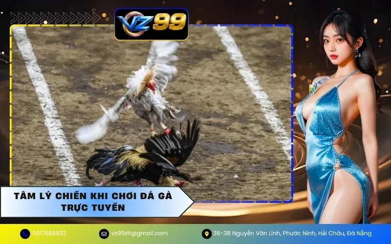 Tâm Lý Chiến Khi Chơi Đá Gà Trực Tuyến