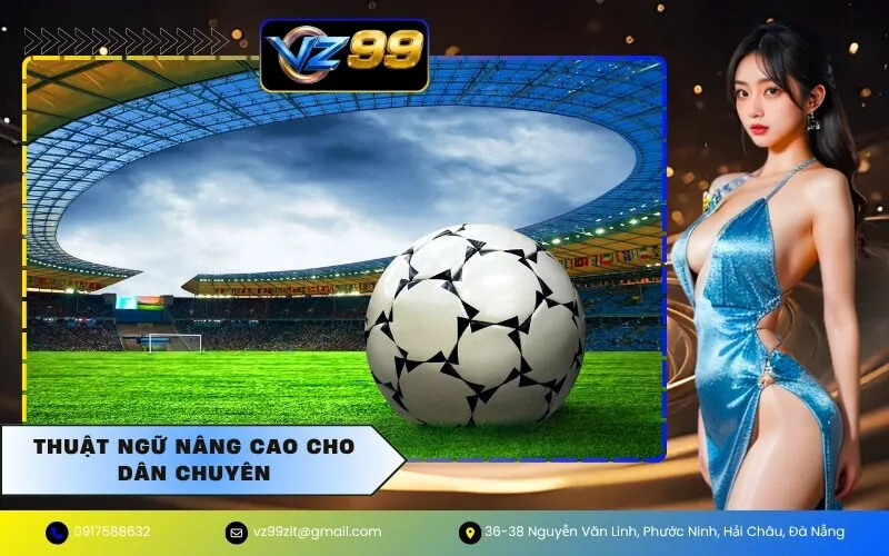 Thuật ngữ nâng cao cho dân chuyên