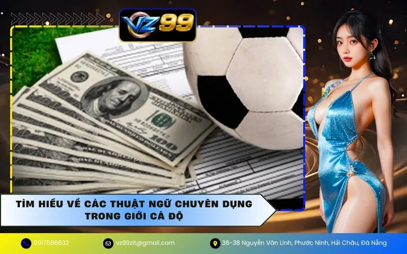 Tìm Hiểu Về Các Thuật Ngữ Chuyên Dụng Trong Giới Cá Độ