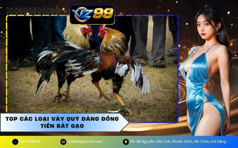 Top Các Loại Vảy Quý Đáng Đồng Tiền Bát Gạo