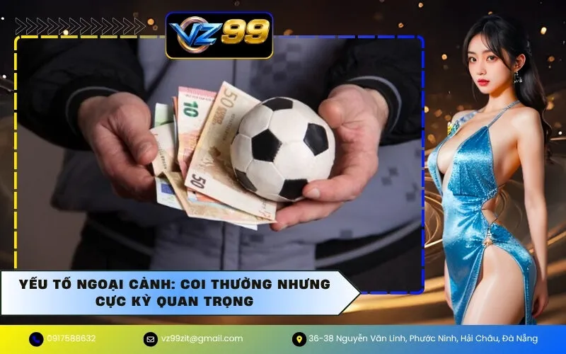 Yếu tố ngoại cảnh: Coi thường nhưng cực kỳ quan trọng